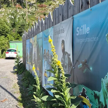 Michael * שארניץ