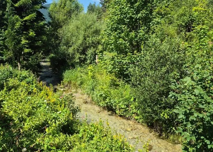 Apartman Michael Scharnitz